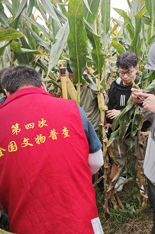 普查隊員正在使用探鏟進(jìn)行探測。中國文物報供圖